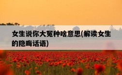 女生說你大冤種啥意思，解讀女生的隱晦話語