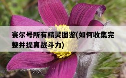 賽爾號所有精靈圖鑒，如何收集完整并提高戰斗力