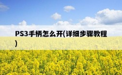 PS3手柄怎么開，詳細步驟教程