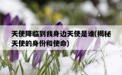 天使降臨到我身邊天使是誰，揭秘天使的身份和使命