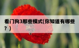 看門狗3那些模式,你知道有哪些?