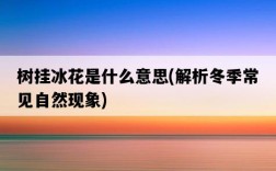 樹掛冰花是什么意思，解析冬季常見自然現象