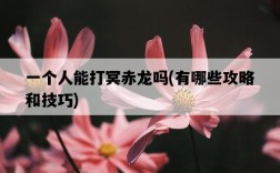 一個人能打冥赤龍嗎，有哪些攻略和技巧