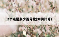 2個點是多少百分比，如何計算
