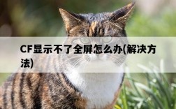 CF顯示不了全屏怎么辦，解決方法