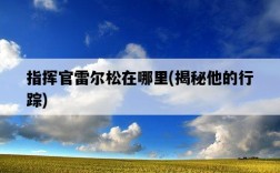 指揮官雷爾松在哪里，揭秘他的行蹤