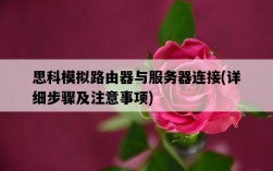 思科模擬路由器與服務器連接，詳細步驟及注意事項