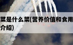 燕菜是什么菜，營養價值和食用方法介紹