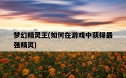 夢幻精靈王，如何在游戲中獲得最強精靈