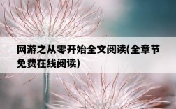 網游之從零開始全文閱讀，全章節免費在線閱讀