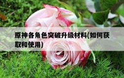 原神各角色突破升級材料,如何獲取和使用