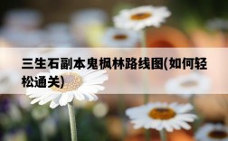 三生石副本鬼楓林路線圖，如何輕松通關