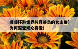 暖暖環游世界純真善良的女主角，為何深受觀眾喜愛