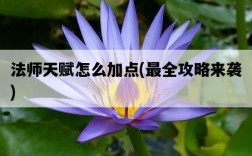 法師天賦怎么加點，最全攻略來襲