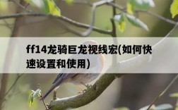 ff14龍騎巨龍視線宏，如何快速設置和使用