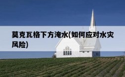 莫克瓦格下方淹水，如何應對水災風險