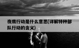 夜鷹行動是什么意思，詳解特種部隊行動的含義