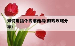如何用指令找蘑菇島，游戲攻略分享