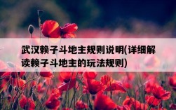 武漢賴子斗地主規則說明，詳細解讀賴子斗地主的玩法規則