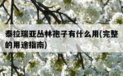 泰拉瑞亞叢林孢子有什么用，完整的用途指南