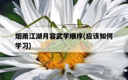 煙雨江湖月容武學順序，應該如何學習