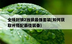 全境封鎖2獨狼最強套裝，如何獲取并搭配最佳裝備