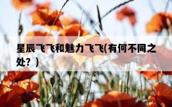 星辰飛飛和魅力飛飛，有何不同之處？