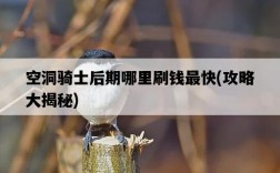 空洞騎士后期哪里刷錢最快，攻略大揭秘
