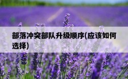 部落沖突部隊升級順序，應該如何選擇