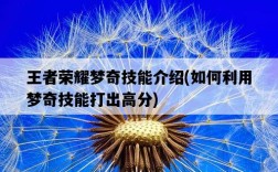王者榮耀夢奇技能介紹，如何利用夢奇技能打出高分