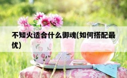 不知火適合什么御魂，如何搭配最優