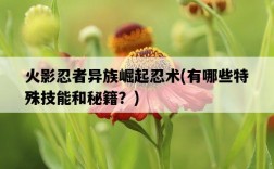 火影忍者異族崛起忍術，有哪些特殊技能和秘籍？