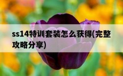 ss14特訓套裝怎么獲得，完整攻略分享