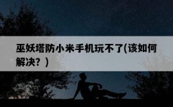 巫妖塔防小米手機玩不了，該如何解決？