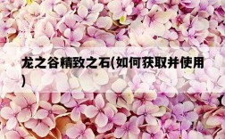 龍之谷精致之石，如何獲取并使用