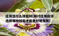 莊周選什么技能好，探討莊周應該選擇哪種技能才能更好地發揮