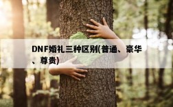 DNF婚禮三種區別，普通、豪華、尊貴