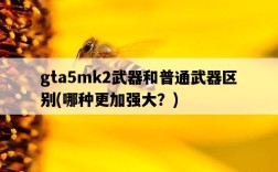 gta5mk2武器和普通武器區別，哪種更加強大？