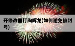 開修改器打絢輝龍，如何避免被封號