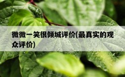 微微一笑很傾城評價，最真實的觀眾評價