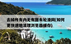 去掉所有內無有圖有輪滑網，如何更快速地清理瀏覽器緩存