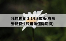 我的世界 1.14正式版，有哪些新特性和玩法值得期待