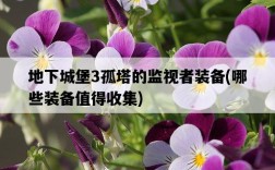 地下城堡3孤塔的監視者裝備，哪些裝備值得收集