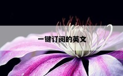 一鍵訂閱的英文