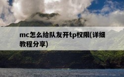 mc怎么給隊友開tp權限，詳細教程分享