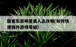 甜蜜樂章明星美人志攻略，如何快速提升游戲等級