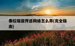 泰拉瑞亞傳送網絡怎么弄，完全指南