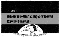 泰拉瑞亞葉綠礦農場，如何快速建立并獲得高產量