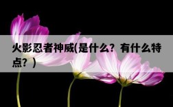 火影忍者神威，是什么？有什么特點？