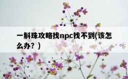 一斛珠攻略找npc找不到，該怎么辦？